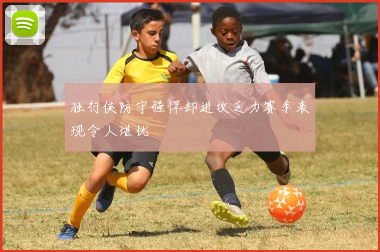 独行侠防守强悍却进攻乏力赛季表现令人堪忧