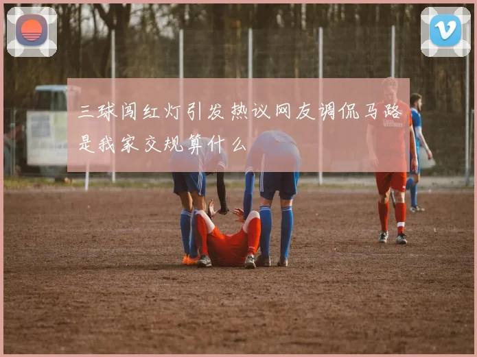 三球闯红灯引发热议网友调侃马路是我家交规算什么