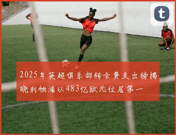2025年英超俱乐部转会费支出榜揭晓利物浦以483亿欧元位居第一